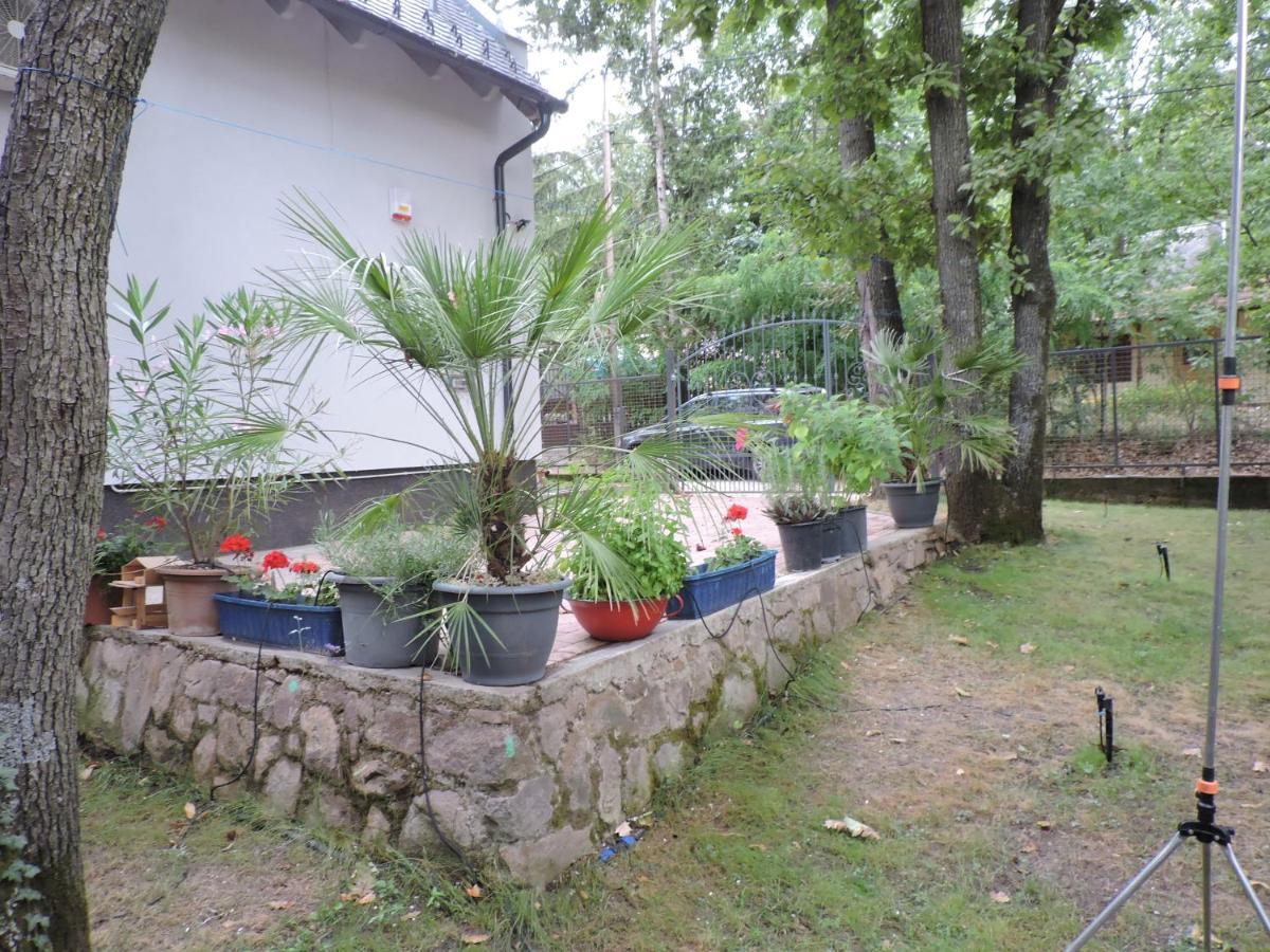 Szepezd Oak Villa Balatonszepezd Exterior foto