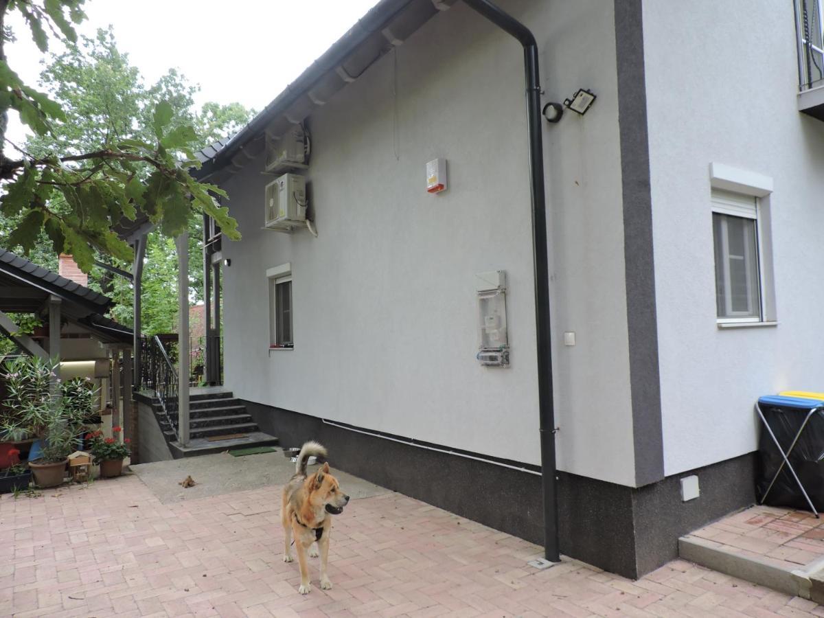 Szepezd Oak Villa Balatonszepezd Exterior foto